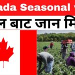 Seasonal Work Visa in Canada