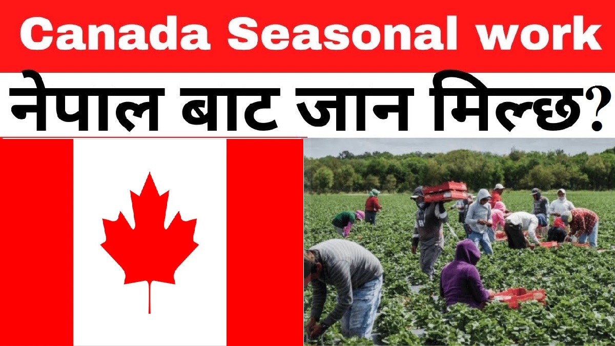 Seasonal Work Visa in Canada