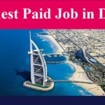 Highest Paid Job in Dubai