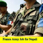 France Army Job