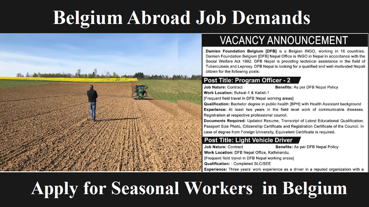 Belgium Abroad Job Demands