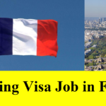 Working Visa Job in France