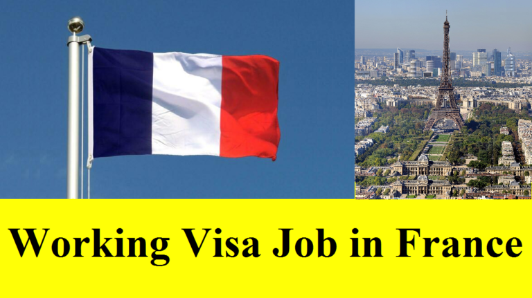 Working Visa Job in France