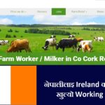 Working Visa Job in Ireland