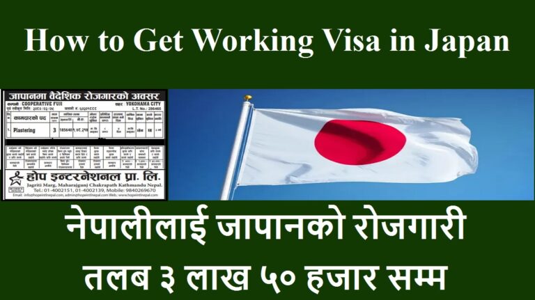 How to Get Working Visa in Japan