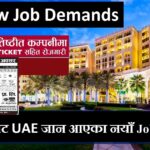 UAE New Job Demands