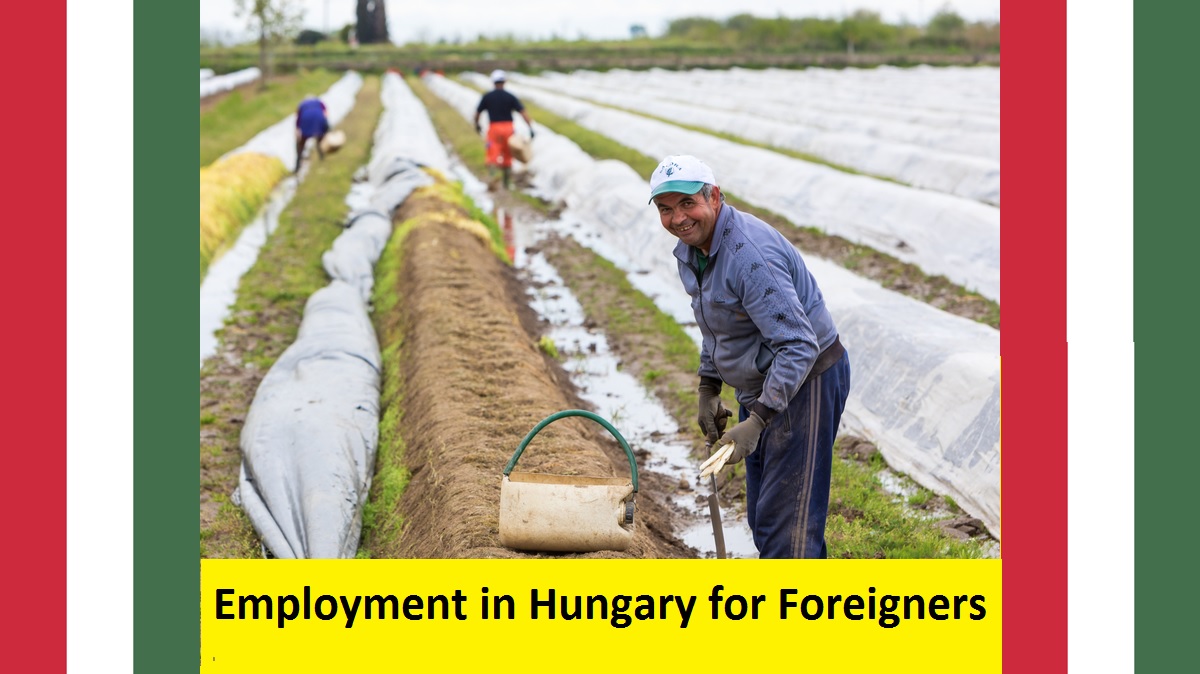 Employment in Hungary for Foreigners
