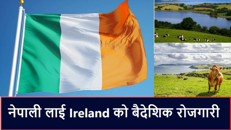 Ireland Work Permit Visa Job