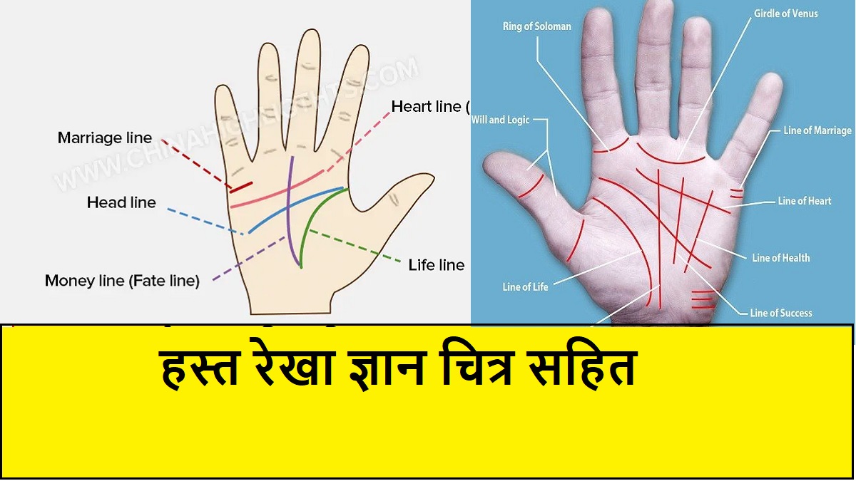 Palmistry knowledge with Picture